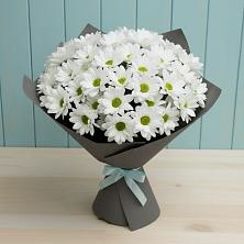 Букет цветов из:  Хризантемы в Великий двор