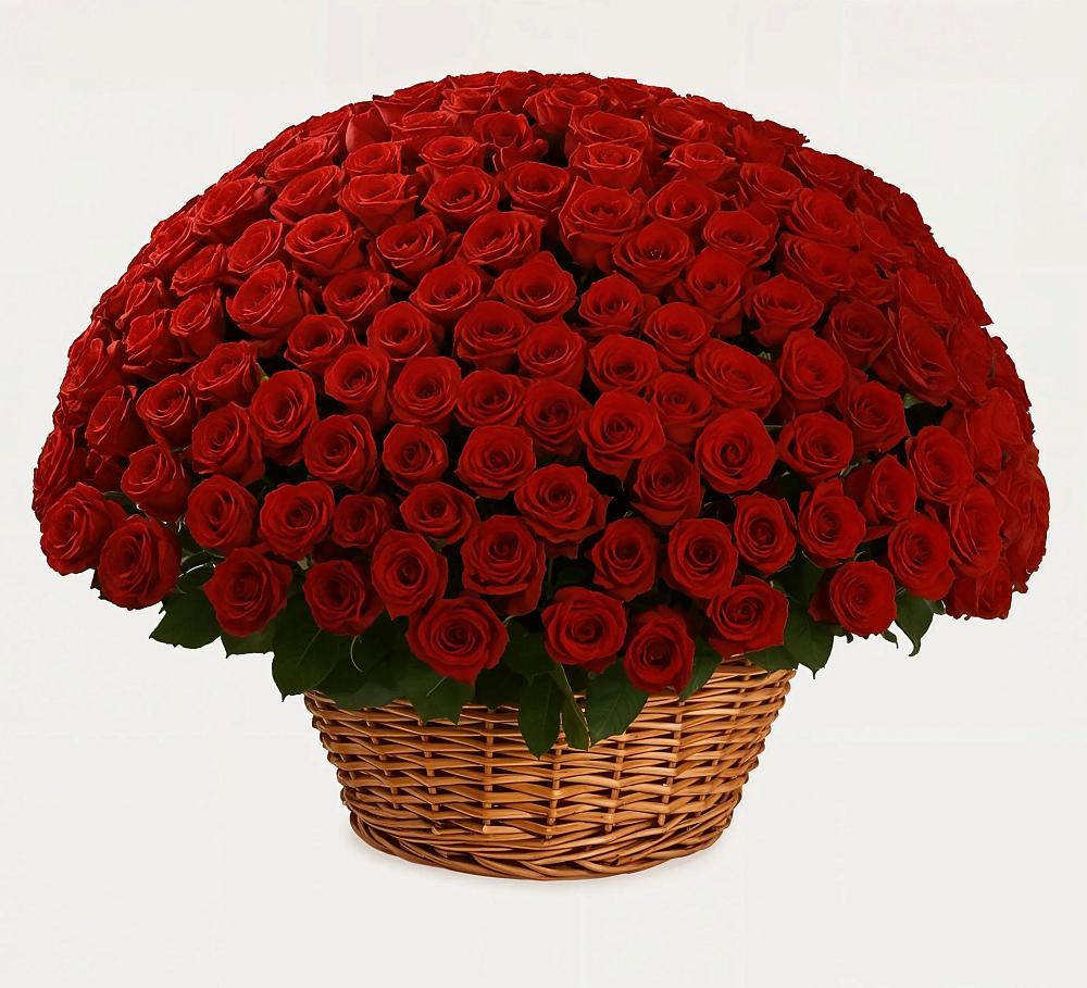 Премиум букет из: Розы в Великий двор