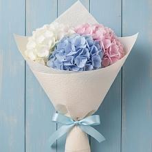 Букет цветов из:  Гортензия в Великий двор