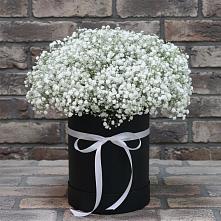 Цветочная композиция из Гипсофила в шляпной коробке в Великий двор
